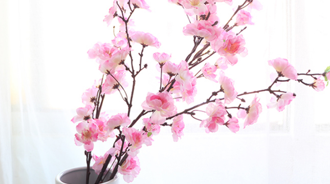 2019過年微信朋友圈說說大全 回家過年說說心情短語很溫暖