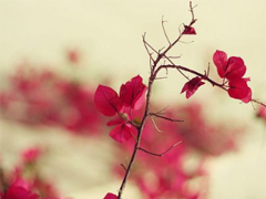 出去玩的心情說說簡短2019 出去游玩的微信朋友圈說說