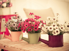 2019三月穿暖花開的說說心情短語 三月來了微信唯美句子大全