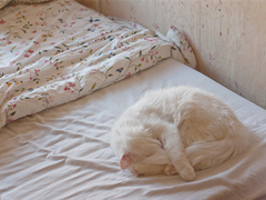 qq個(gè)性說(shuō)說(shuō)大全好聽(tīng)的 獨(dú)一無(wú)二的個(gè)性說(shuō)說(shuō)2019最新