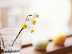 2019四月你好說(shuō)說(shuō)充滿正能量 聽起來(lái)很溫暖的心情說(shuō)說(shuō)