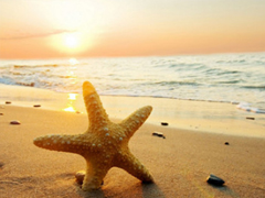 2019最流行的個(gè)性說說合集 獨(dú)一無二的微信說說經(jīng)典版