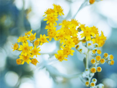 2019春分朋友圈心情說說大全 春分節(jié)氣微信簡短說說