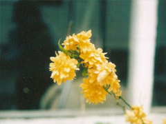 發(fā)微信朋友圈的好句子大全 別致一點(diǎn)的朋友圈說(shuō)說(shuō)有個(gè)性