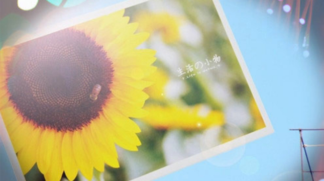 2019二月你好三月再見(jiàn)說(shuō)說(shuō)心情短語(yǔ) 三月請(qǐng)對(duì)我好一點(diǎn)唯美說(shuō)說(shuō)