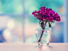 2019最新春分微信說說大全 春分節(jié)氣最美祝福語