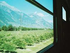 201經(jīng)典語錄勵(lì)志心靈雞湯 關(guān)于人生感悟的經(jīng)典語錄