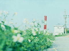 寫給自己的微信說(shuō)說(shuō)經(jīng)典內(nèi)涵 全新一句話說(shuō)說(shuō)致自己