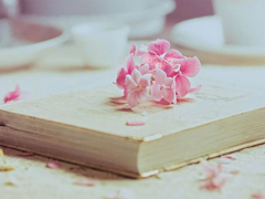 快手愛(ài)情語(yǔ)錄說(shuō)說(shuō)大全 快手說(shuō)說(shuō)句子熱門(mén)情話