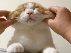 qq擴(kuò)列說(shuō)說(shuō)怎么寫(xiě)逗比 超級(jí)搞笑有趣的擴(kuò)列說(shuō)說(shuō)