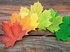 寫給閨蜜的一些說說句子很煽情 暖心的閨蜜說說簡單卻讓人感動