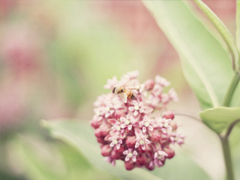 很特別適合女生的個性說說大全 朋友圈女生簡單有氣質(zhì)的話語