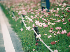 2018最后一天對(duì)自己說的話經(jīng)典版 致即將逝去的2018!