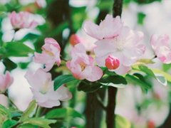 最新微信唯美說說大全女生專屬 女生都愛的文藝小清新心情說說