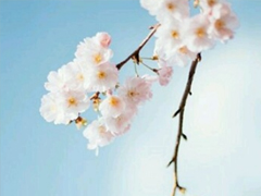 最好朋友領證結婚的祝福說說 2019好閨蜜結婚的說說優(yōu)美好聽