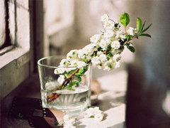 最新朋友圈經典說說2019精選 好聽的微信經典說說