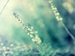 抖音經(jīng)典好聽的愛情說(shuō)說(shuō) 心有多近那么距離就有多近