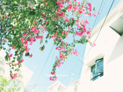 最近很火的一些女生經(jīng)典說(shuō)說(shuō) 送給女孩子的28句話有道理