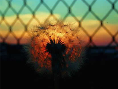 30條有道理的經(jīng)典說說 簡短但是道理深刻的句子大全