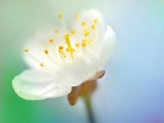 適合這個(gè)年紀(jì)發(fā)的說(shuō)說(shuō)朋友圈 簡(jiǎn)單又走心的心情說(shuō)說(shuō)引人共鳴