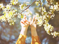 2019年第一天早上微信說(shuō)說(shuō)大全 2019年第一條早安說(shuō)說(shuō)致自己