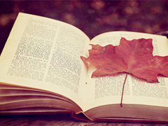 簡(jiǎn)單平凡的愛情說說大全最新版 只想和你擁有小幸福說說