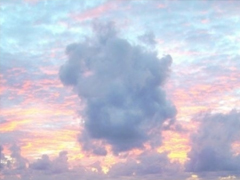 2019第一天發(fā)的微信經(jīng)典說(shuō)說(shuō) 朋友圈早安說(shuō)說(shuō)經(jīng)典有哲理