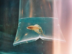 長(zhǎng)大了才會(huì)懂得的道理說說 幾年前你不懂現(xiàn)在懂得的道理大全