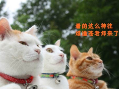 2018清明節(jié)搞笑說說：清明節(jié)應(yīng)該回小學(xué)初中掃掃墓，因?yàn)槟抢锫裨崃四愕那啻骸? data-63Xf=