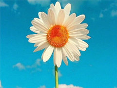 對(duì)愛(ài)情徹底死心的傷感說(shuō)說(shuō)2018 一句話讓人瞬間落淚的愛(ài)情說(shuō)說(shuō)