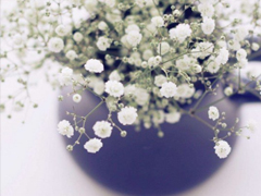 甜到炸的愛情小情話說說大全 很甜很暖心的愛情說說