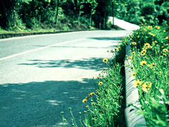 生活說說很現(xiàn)實的說說2018心情短語 穿透人心的說說簡短一句話