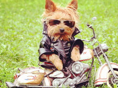 女人不花心，又怎么對(duì)得起貌美如花