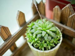 網(wǎng)易云音樂(lè)熱評(píng)語(yǔ)錄短語(yǔ)精選2019 我勸你早點(diǎn)喜歡我免得浪費(fèi)時(shí)間