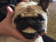 空間爆笑說說：謝謝那些曾經(jīng)擊倒我的人，躺著真的很舒服