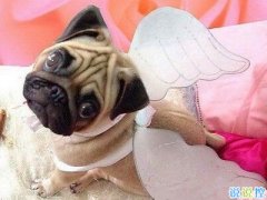 幽默搞笑的句子，最幽默的一句話