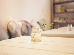 關于愛情的經典說說 有些愛只能止于唇齒掩于歲月