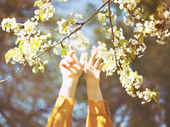 想說(shuō)給你的一句心里話(huà)愛(ài)情說(shuō)說(shuō) 愛(ài)情說(shuō)說(shuō)很現(xiàn)實(shí)的說(shuō)說(shuō)