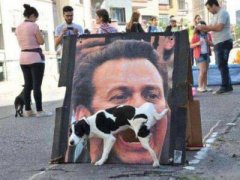 幽默的說說笑死人：你說你要和我共白頭，我染完你又說我非主流