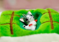 關于秋褲的搞笑句子，忘穿秋褲的搞笑段子