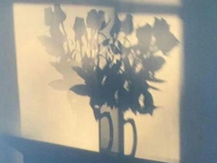 戀愛(ài)過(guò)程中的心酸和甜蜜的心情說(shuō)說(shuō)大全