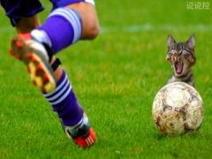 幽默搞笑的說說，幽默搞笑的段子