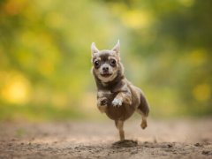 微信搞笑說(shuō)說(shuō)大全，微信朋友圈幽默說(shuō)說(shuō)