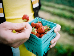 心里不痛快的說說有點想哭 感覺自己不容易的心情說說