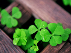 迎接2019元旦說說適合發(fā)朋友圈 2019年豬年元旦說說早安一句話