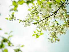 給人正能量的早安句子2019精選 早安說(shuō)說(shuō)簡(jiǎn)短經(jīng)典一句話