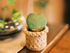 偶爾有點小傷感的心情說說 學(xué)會自我安慰的說說