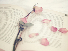 微信朋友圈感動(dòng)說說心情短語 哪來的狗屁好脾氣全是因?yàn)槲蚁矚g你