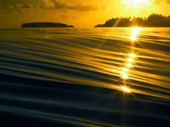 最新秀恩愛的幸福心情說說 雙11狂虐單身人士的說說大全