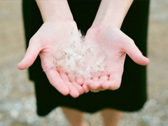 成熟有內(nèi)涵的心情說說大全 很多道理長(zhǎng)大后才能漸漸明白